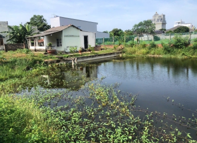 🔥 CHÍNH CHỦ GỬI BÁN ĐẤT SIÊU GẦN BIỂN CẦN THẠNH - CẦN GIỜ 🔥