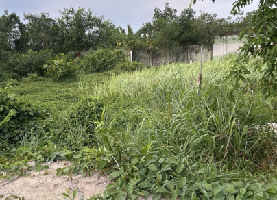 🔥 BÁN ĐẤT GẦN MẶT TIỀN ĐƯỜNG RỪNG SÁC – GIÁ SIÊU TỐT, VỊ TRÍ ĐẮC ĐỊA 🔥