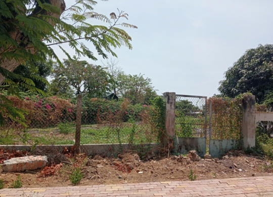🔥 CƠ HỘI VÀNG ĐẦU TƯ - ĐẤT 1149m² DUYÊN HẢI, CẦN THẠNH CHỈ 51 TRIỆU/M² 🔥