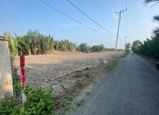🏡 Cần bán lô đất mặt tiền Trần Hưng Đạo, xã Tam Thôn Hiệp, Cần Giờ – Cơ hội đầu tư vàng!