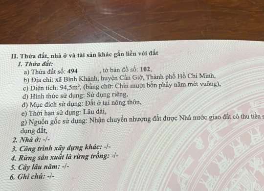 🚀 HOT NHƯ CẦU CẦN GIỜ – MẶT TIỀN RỪNG SÁC GIÁ CHỈ 9 TỶ! 🚀
